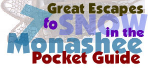 Download the Free Pocket Guide